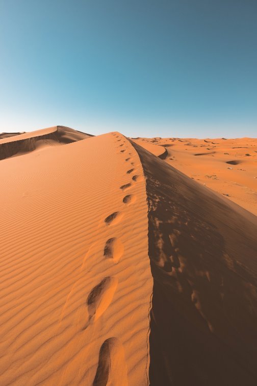 Comprendre les émotions